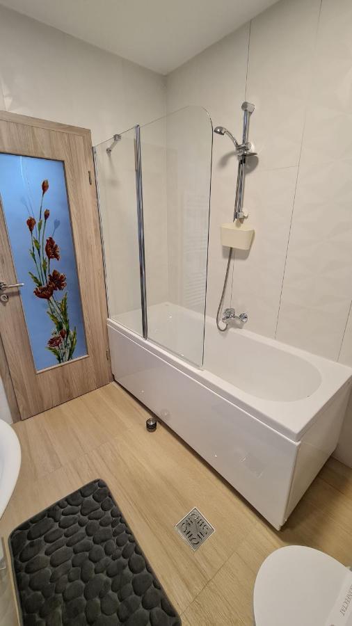 Zander Home Apartment Buşteni Extérieur photo