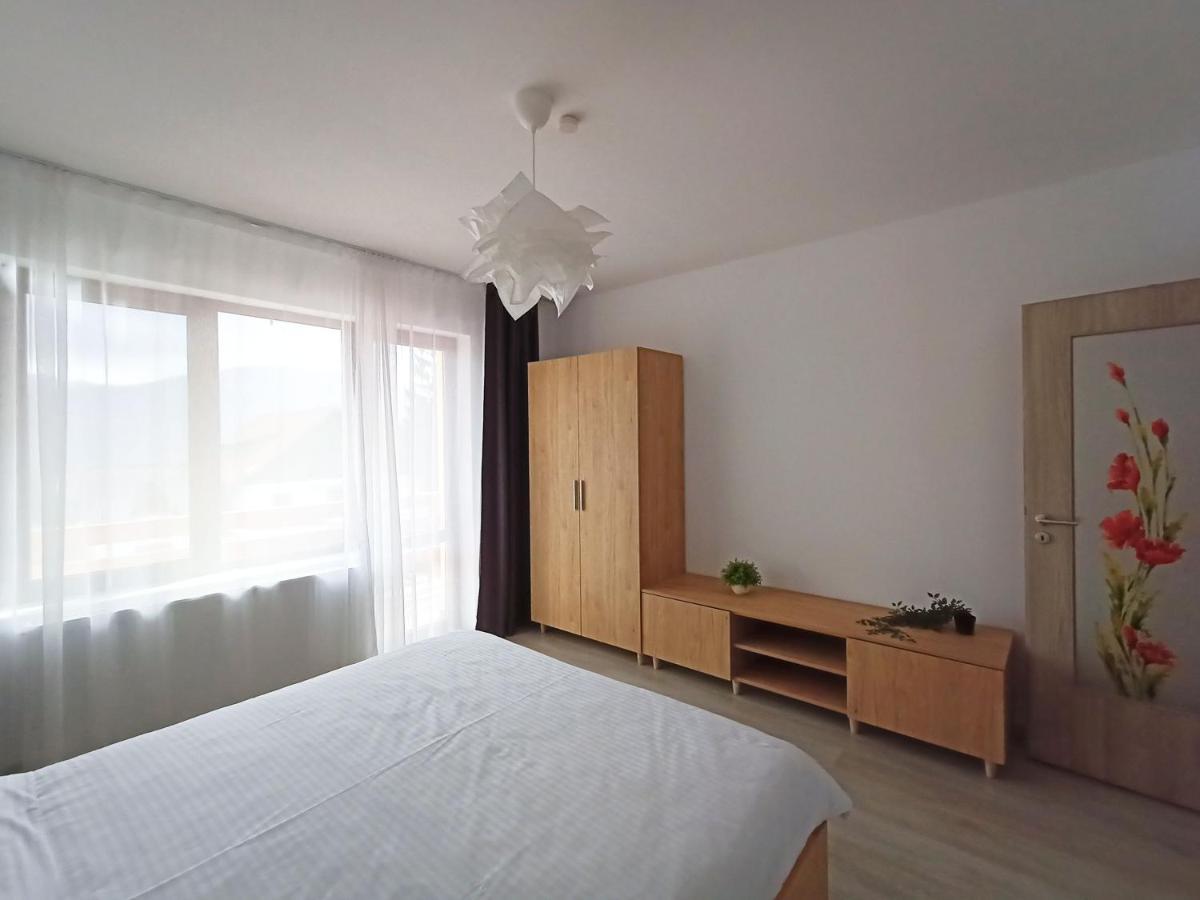 Zander Home Apartment Buşteni Extérieur photo