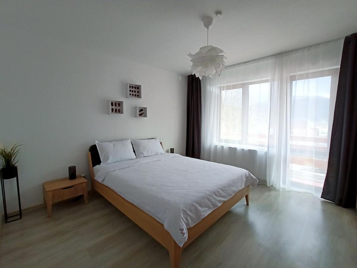 Zander Home Apartment Buşteni Extérieur photo