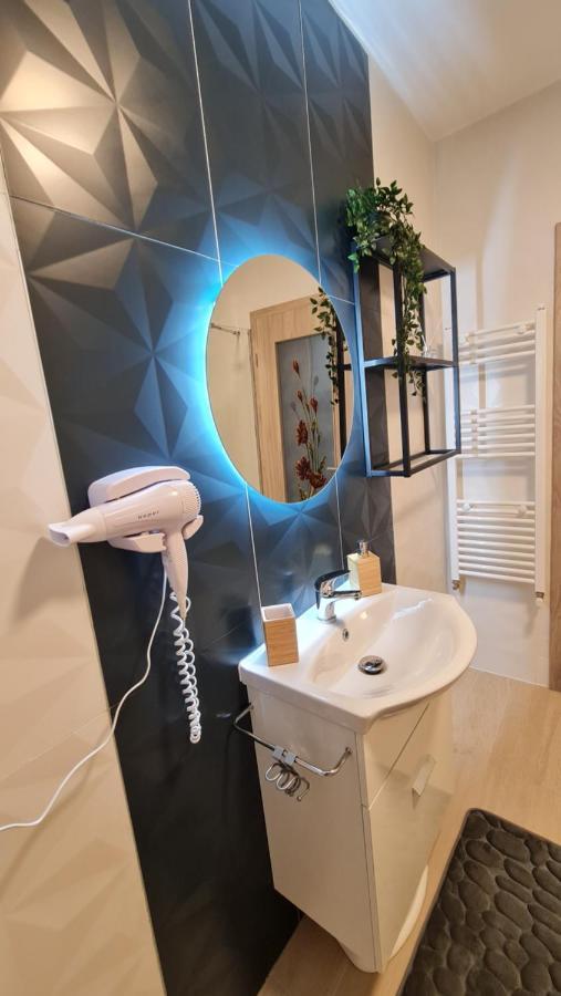 Zander Home Apartment Buşteni Extérieur photo